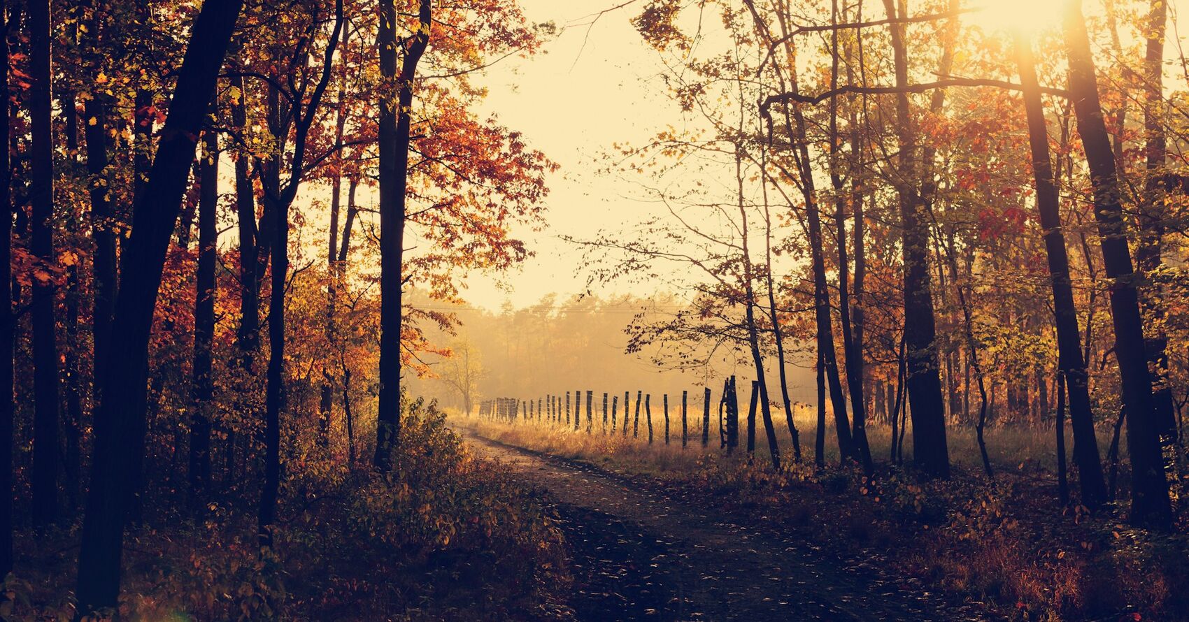 Hello Fall Photo Contest